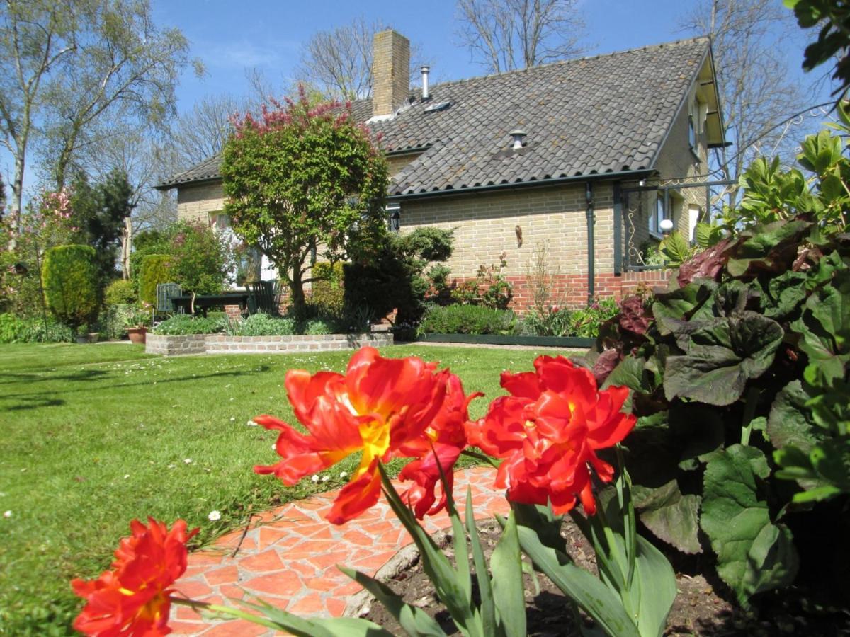 B&B Elbahof, Goed En Goedkoop! Hem Esterno foto