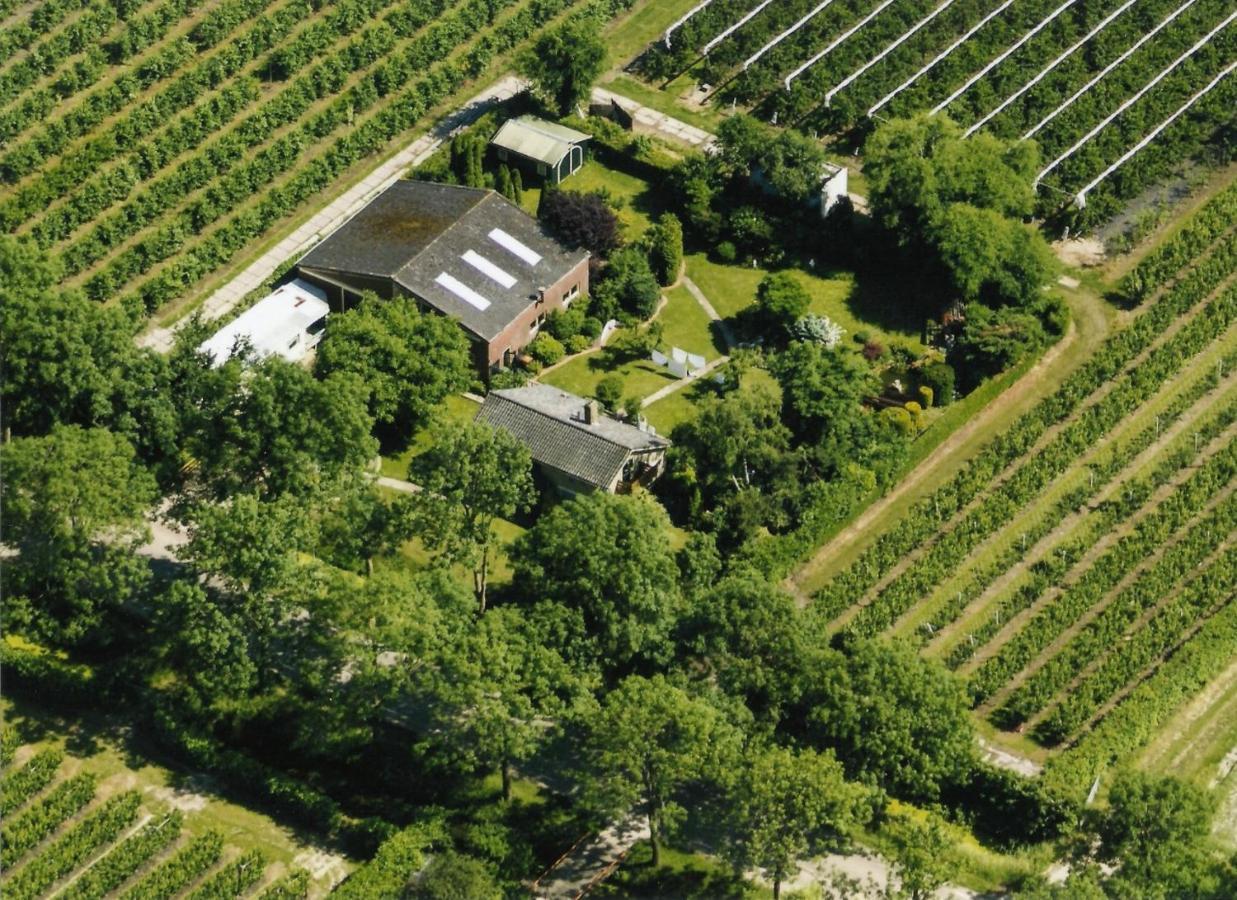 B&B Elbahof, Goed En Goedkoop! Hem Esterno foto