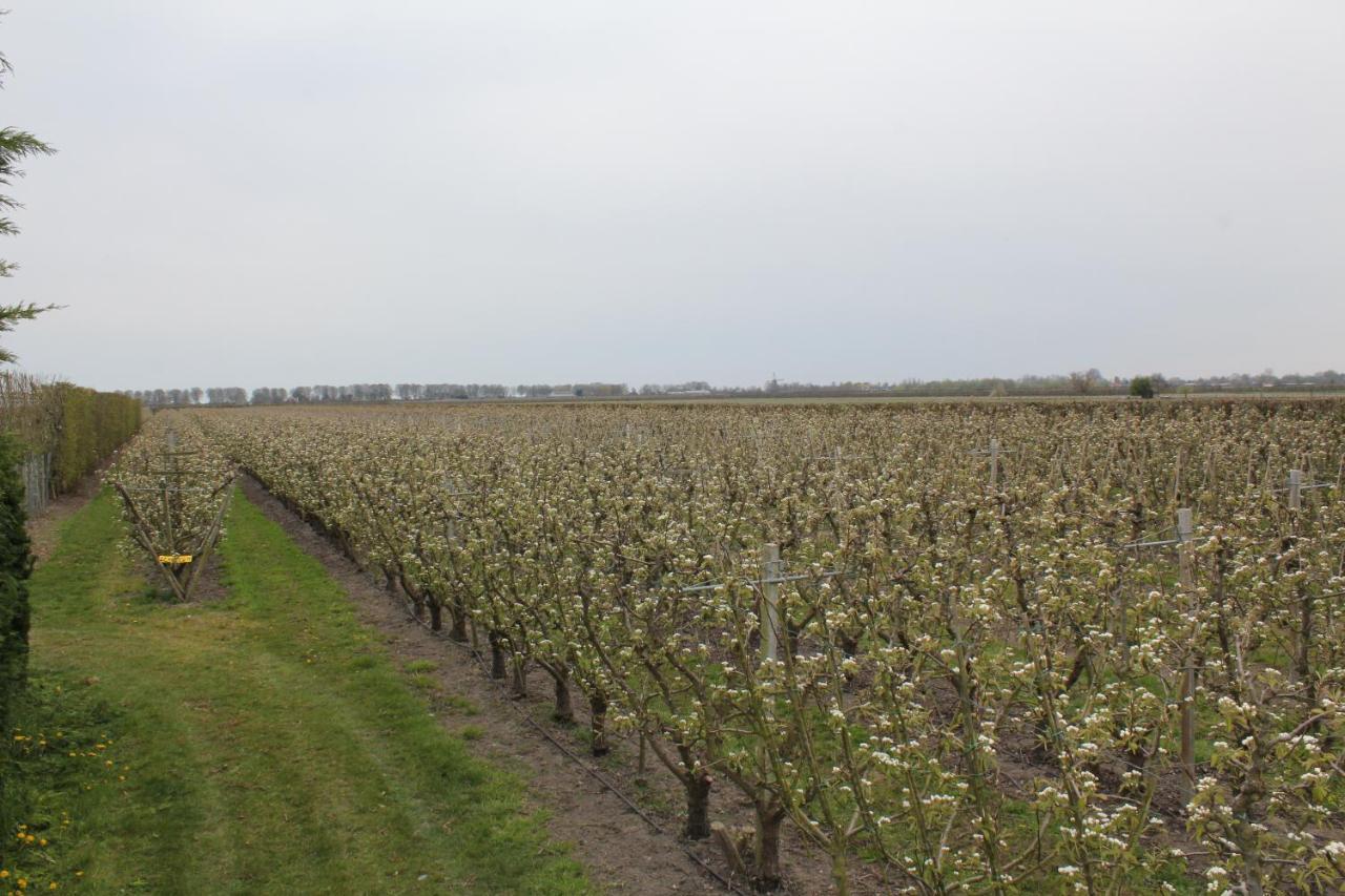 B&B Elbahof, Goed En Goedkoop! Hem Esterno foto