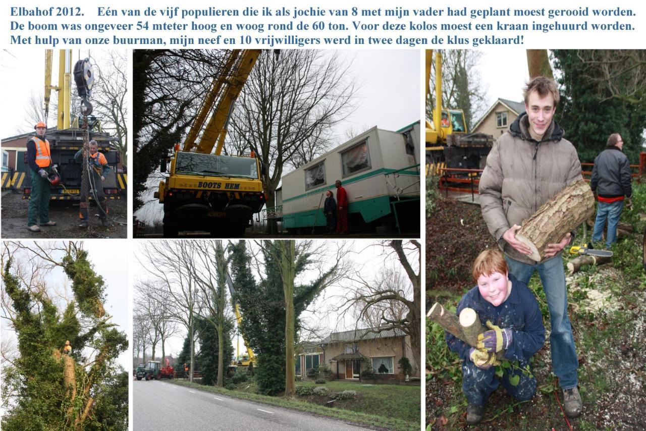 B&B Elbahof, Goed En Goedkoop! Hem Esterno foto